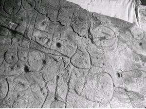 The oldest map in EU is found in France