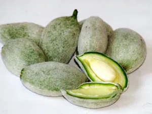 يساعد على ضبط نسبة سكر بالدم عن طريق حرق النسبة الزائدة منه بالجسم