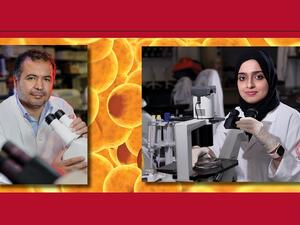 WCM-Q Research Probes Mechanisms Of Premature Aging Of Fat Cells In Obesity