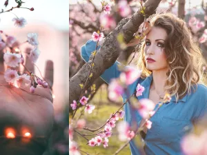 لماذا تعتبر أزهار الكرز اليابانية أحدث موضة في عالم الجمال الطبيعي؟