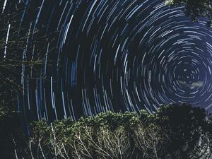 ما تفسير الحلم بنجم الشمال في المنام؟