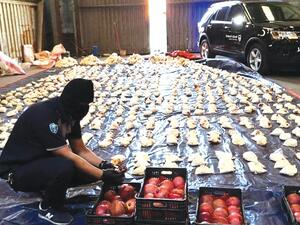 تهريب مخدرات