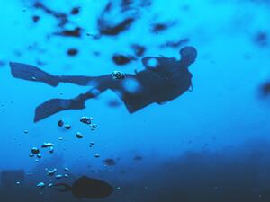 ما تفسير الحلم بالغوص في المنام؟