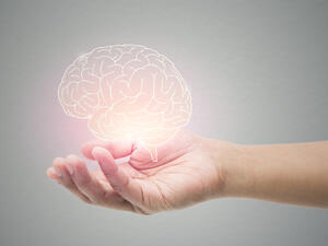 Man holding brain illustration against gray wall background