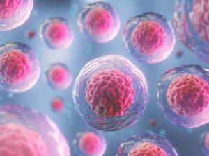  Human cell or Embryonic stem cell microscope background