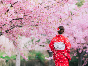 The  kimono with cherry blossoms!