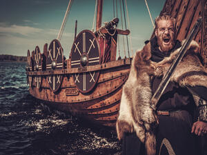 Viking warrior 
