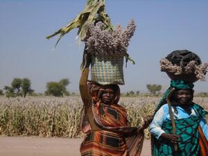 وستدخل الوثيقة حيز التنفيذ رسميا يوم الغد 20 مايو/أيار بعد نشرها في السجل الفيدرالي.