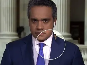 داهم صرصور احد مراسلي قناة الـ CNN الاميركية اثناء قيامه بنقل خبر