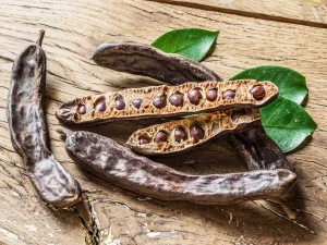 تكوِّن قرون الخروب المجففة والمحمصة بعد طحنها بودرة مثل بودرة الكاكاو