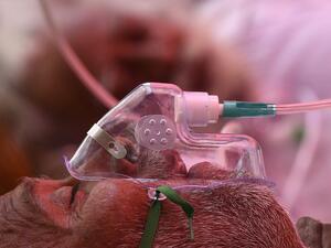 Total covid-19 cases in India tops 20 million