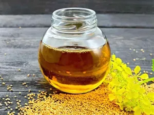 زيت الخردل هو واحد من الزيوت النباتيّة ذات الرائحة النفاذة، ويميل لونه إلى الأصفر