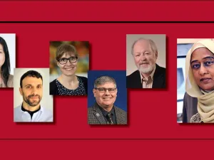 WCM-Q Provides A Virtual Mixed Methods Research Workshop