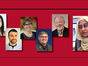 WCM-Q Provides A Virtual Mixed Methods Research Workshop