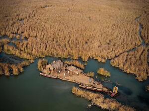 The Mesopotamian Marshes 