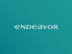 Endeavor Egypt Welcomes Brimore To Its Network