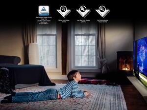 Eco-friendly Home Entertainment For The Conscious Consumer