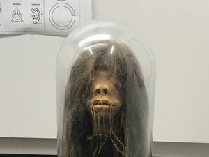 south American ceremonial tsantsa