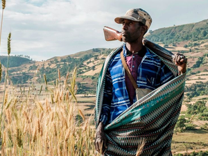 Ethiopia slapped with new restrictions by the US over conflict in Tigray