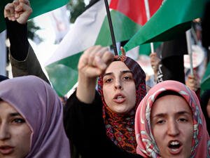 Pro-Palestinian activists