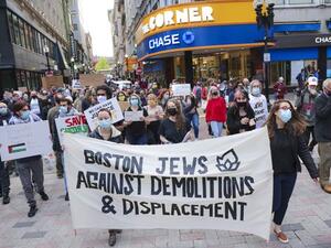 Pro-Palestine voices 