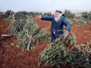 الضفة الغربية