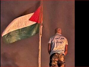 بيت دجن على خطى بيتا 