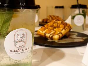 A sneak peak into our purrr-fect waffle 