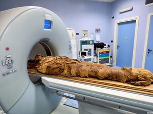 An Egyptian mummy undergoes a CT scan at the Policlinico hospital, Milan so that researchers to investigate its history