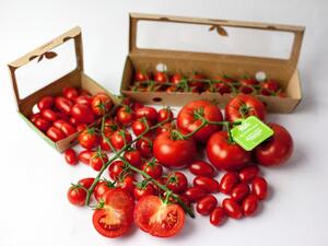 تقنية هانيويل للزراعة المستدامة تعزز أعمال بيور هارفست للمزارع الذكية في دولة الإمارات