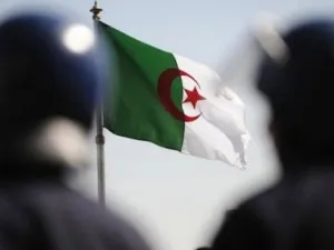 ضبط شبكة لتهريب المخدرات في الجزائر