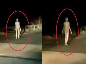 مخلوق فضائي يسير في شوارع الهند