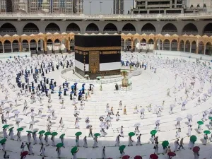  إجمالي أعداد الحجاج لعام 1442هـ هو (60 ألف حاج)