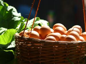 ما تفسير الحلم بالبيض في المنام؟