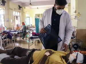 الفطر الأسود