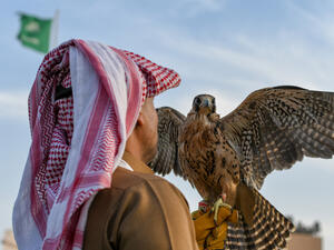 Arabic man from Saudi Arabia wears traditional clothes and holding trained falcon