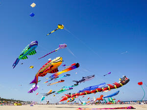 Various kites flying on the blue sky