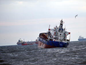 At least 44 people have been rescued after a ferry ship sank in Bali.