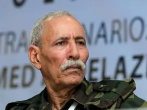 إبراهيم غالي