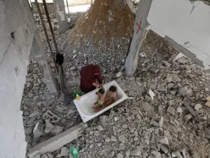 241 طفلًا فقدوا أحد الوالدين