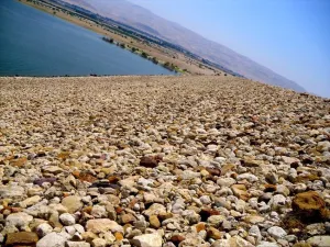 صدمه في الأردن عقب وفاة 4 أطفال أشقاء غرقا