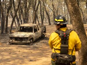 Plane fighting Arizona wildfire crashes killing two