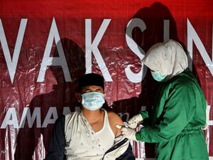 covid-19 deaths declined by 5% worldwide