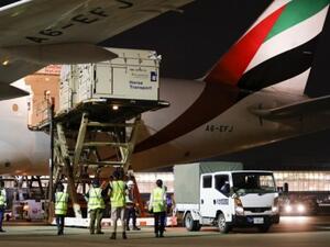 How Many Flights Does It Take to Transport 247 Horses from Liege to Tokyo?