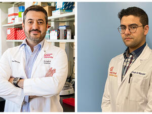 CMU-Q Researchers Publish First Comprehensive Review Of Minor Intron Splicin
