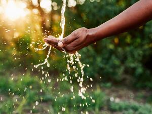 شنايدر إلكتريك تطلق خدمات استشارية جديدة لمساعدة الشركات في منطقة الخليج على تعزيز الاستدامة وخفض انبعاثات الكربون 