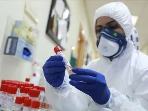 عزوف الفلسطينيين عن اجراء فحص كورونا