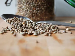  يوفر زيت بذور القنب كميات كافية من الترطيب للبشرة