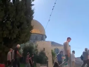 المستوطنون يدنسون الاقصى