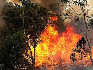 155 حريقا في تونس